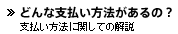 �ǂ�Ȏx�������@������́H